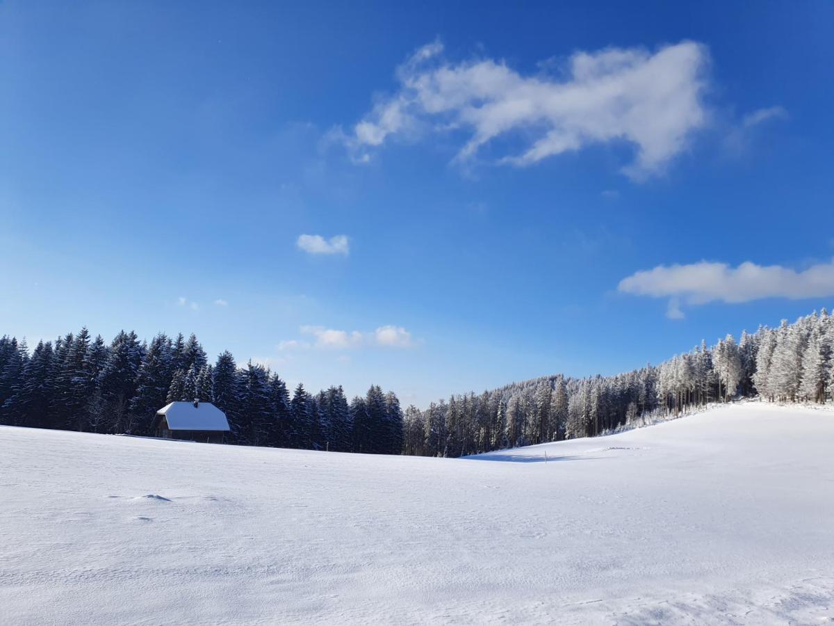Ferienhaus-Schoenwald Im Herzen Des Schwarzwaldes 2-Zimmer-Maisonette-Wohnung Mit Balkon App 12 외부 사진